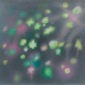 Meet your Posher, Bella (Burgundy Blues)